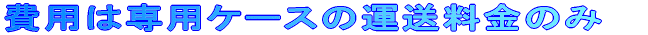 p͐pP[X̔ẑ